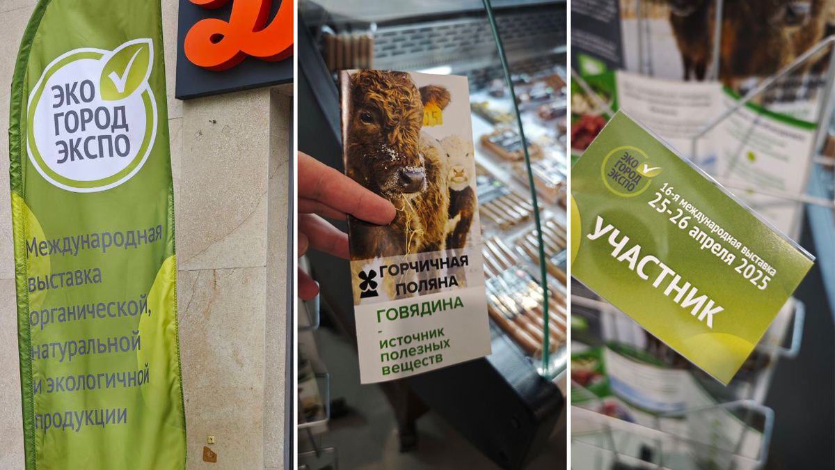 «ЭкоГородЭкспо» 2025