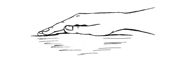 Из книги Людмилы Голубовской. Рэйки. Сила открытой чаши