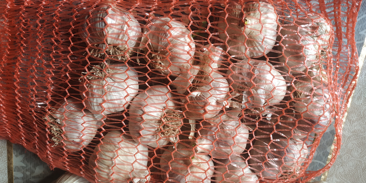 Фото автора канала Дачная Пчелка 