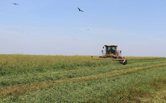    Фото: правительство НСО
