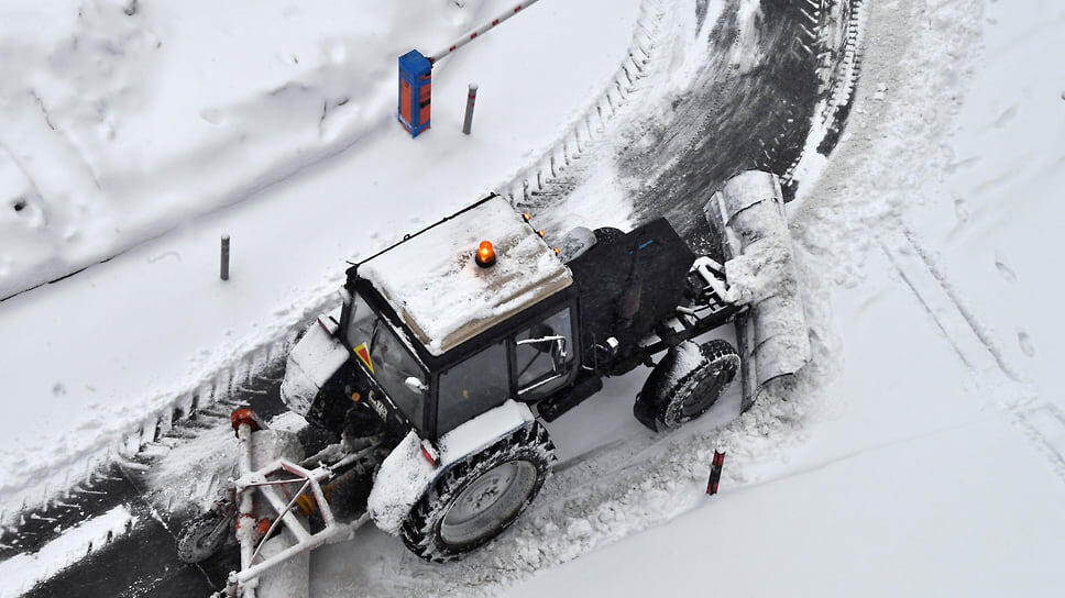 Фото: Анатолий Жданов / Коммерсантъ