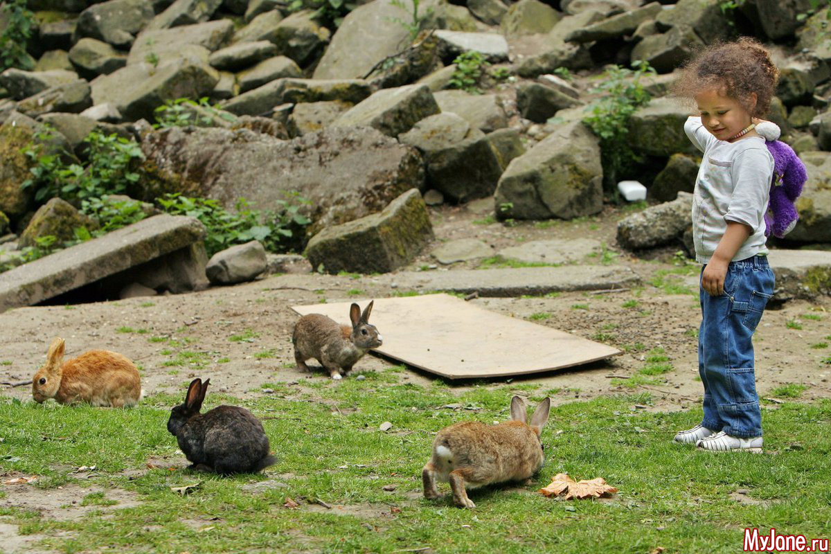 Кролики отлично проводят время в компании людей!