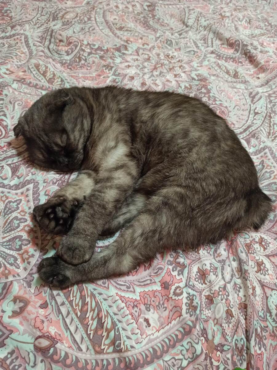 так сладко спит малышка)