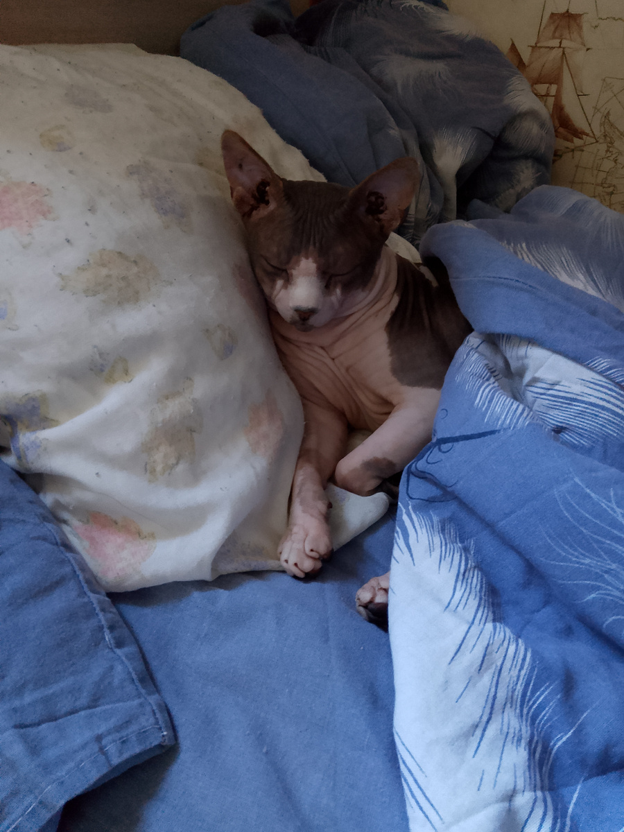 Доброе утречко