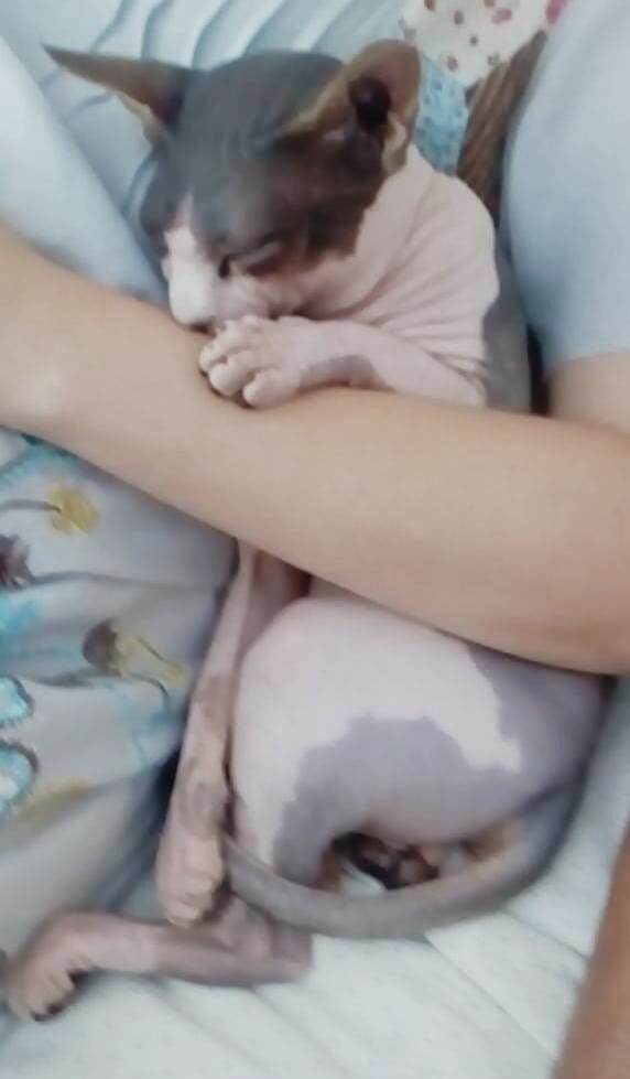 Качество не ах какое, но видно же)))