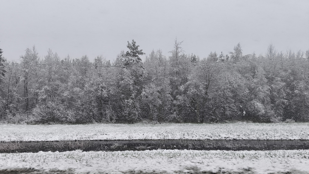 А за городом зима, зима, зима! 