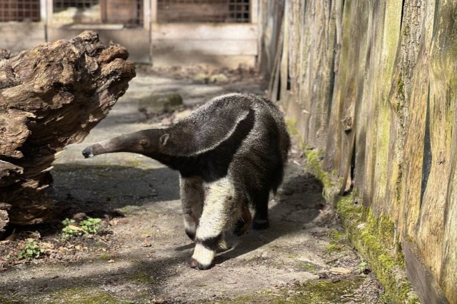   Фото из архива Калининград.Ru