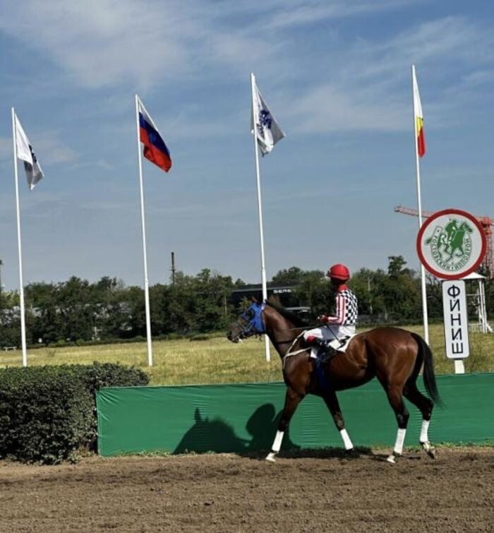 Источник фото: Яндекс Карты