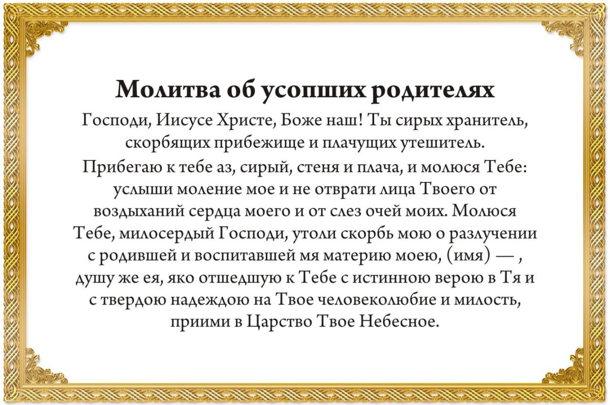 Драга Лайф