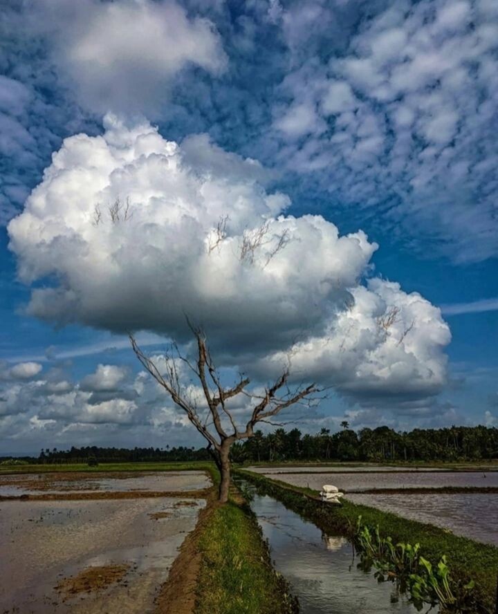 Из открытых источников