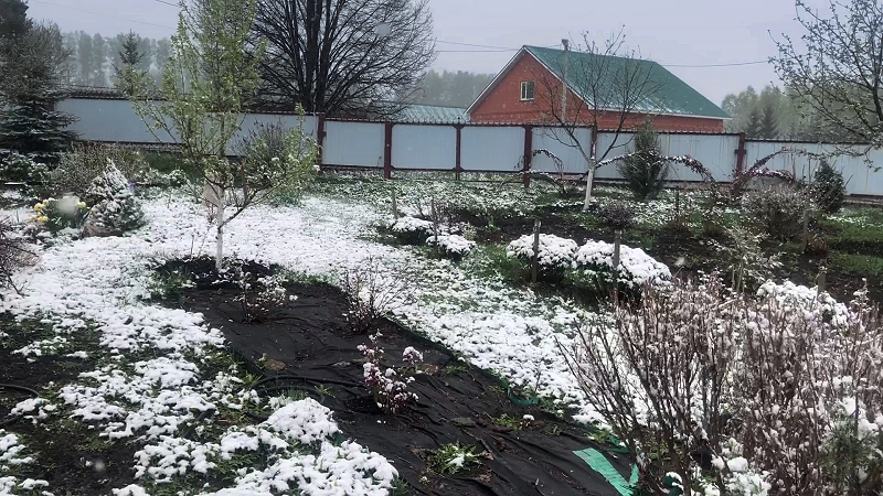 Наш участок 28 апреля 2025 г.