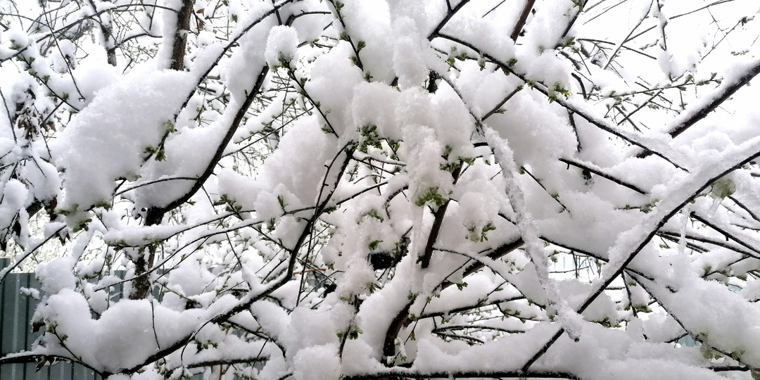 К НАМ ПРИШЛА ЗИМА В АПРЕЛЕ.