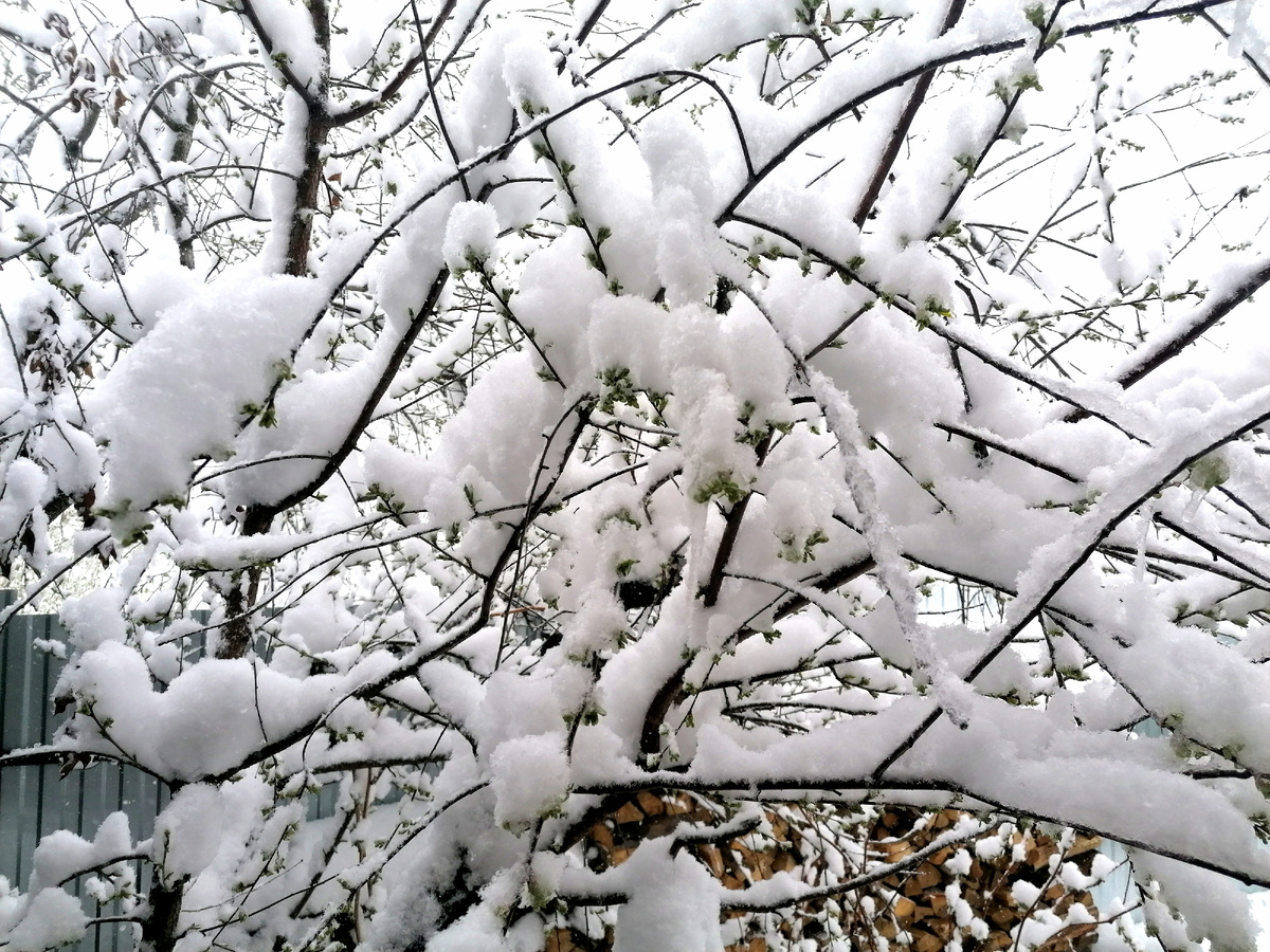 Фото автора. 