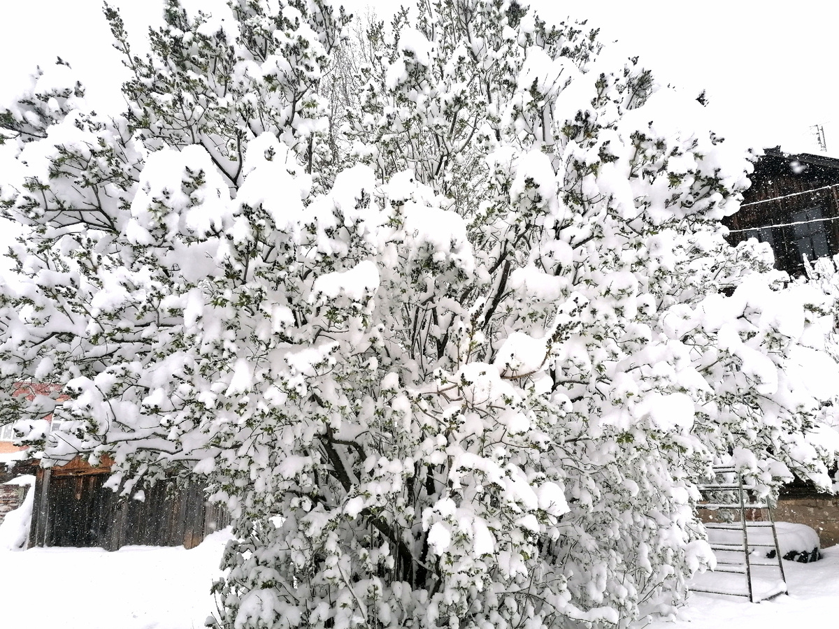 Фото автора. 