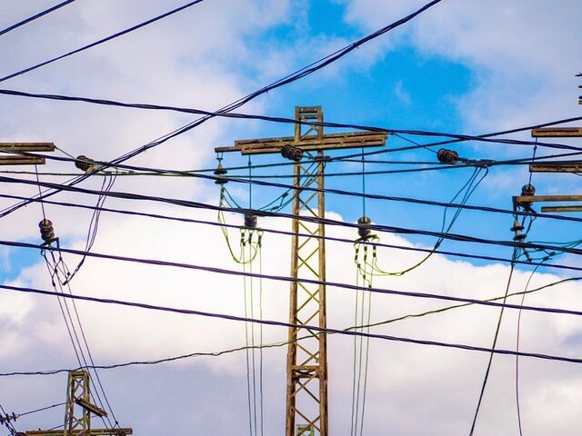    Фото: 123RF/lempro