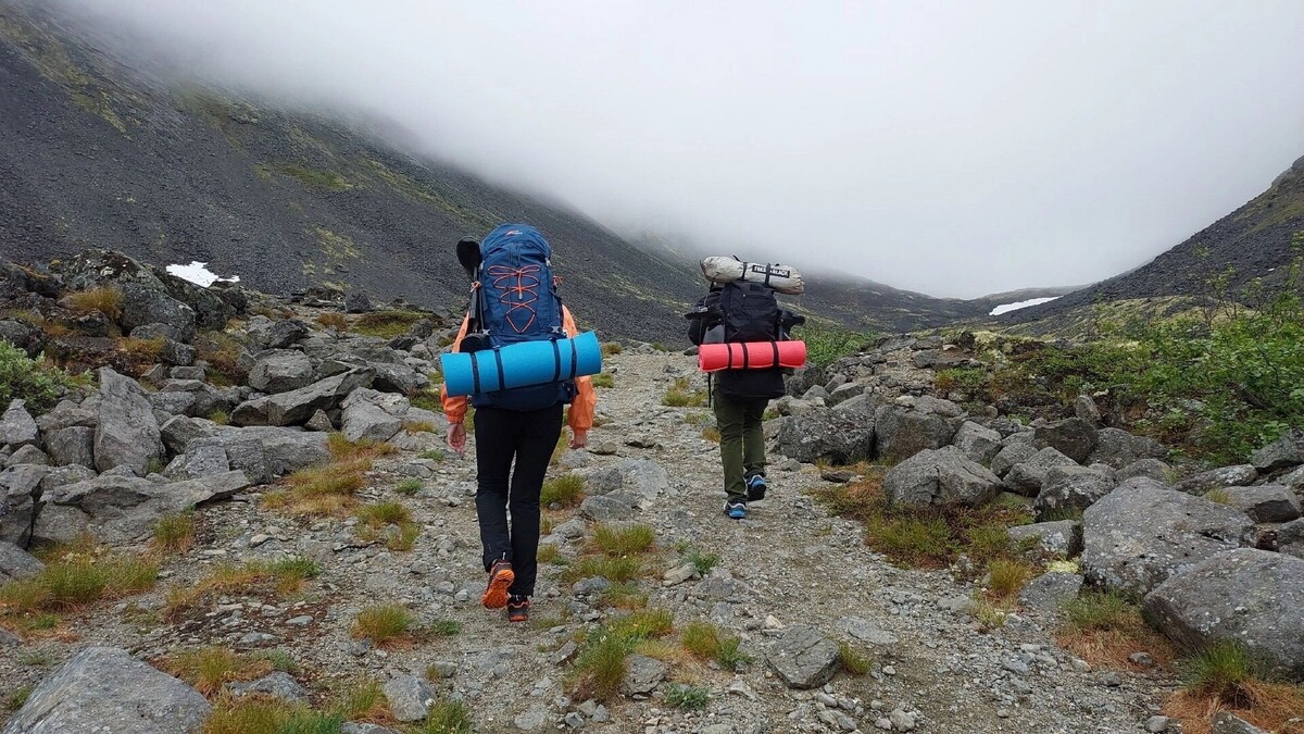     Источник: 1MI