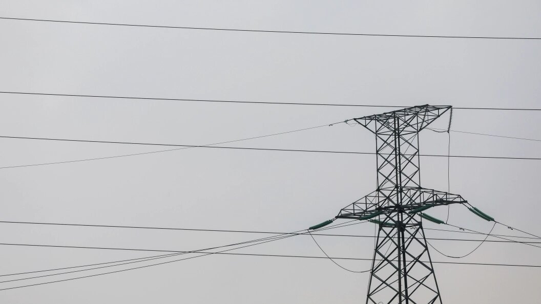    фото: Belkin Alexey/news.ru