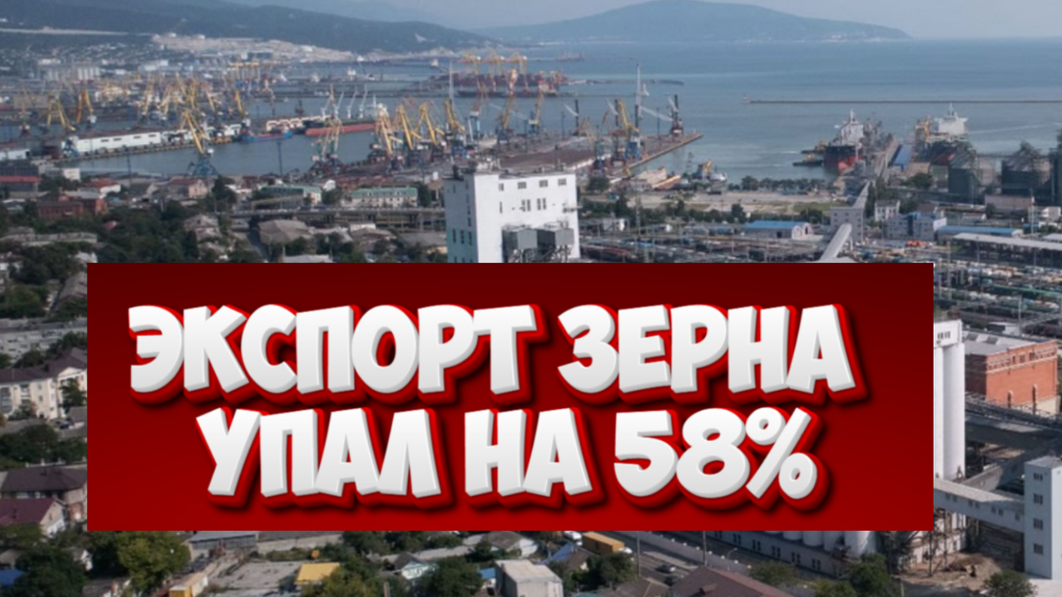 Новороссийский зерновой комбинат