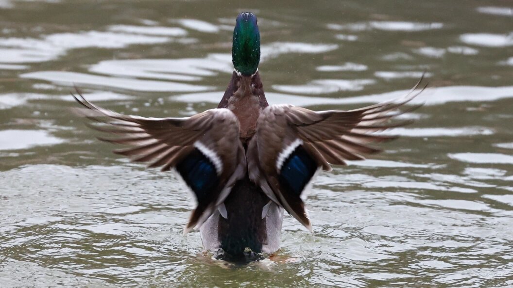    Фото: Shatokhina Natalya/news.ru/Globallookpress