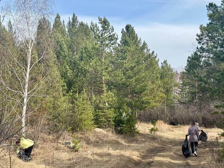    Фото: тг-канал Природа Бурятии