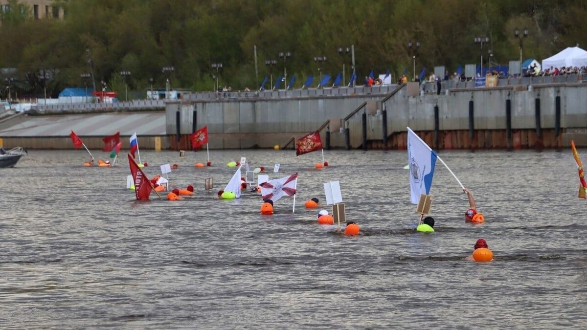     Источник: Telegram-канал Администрация Тюмени