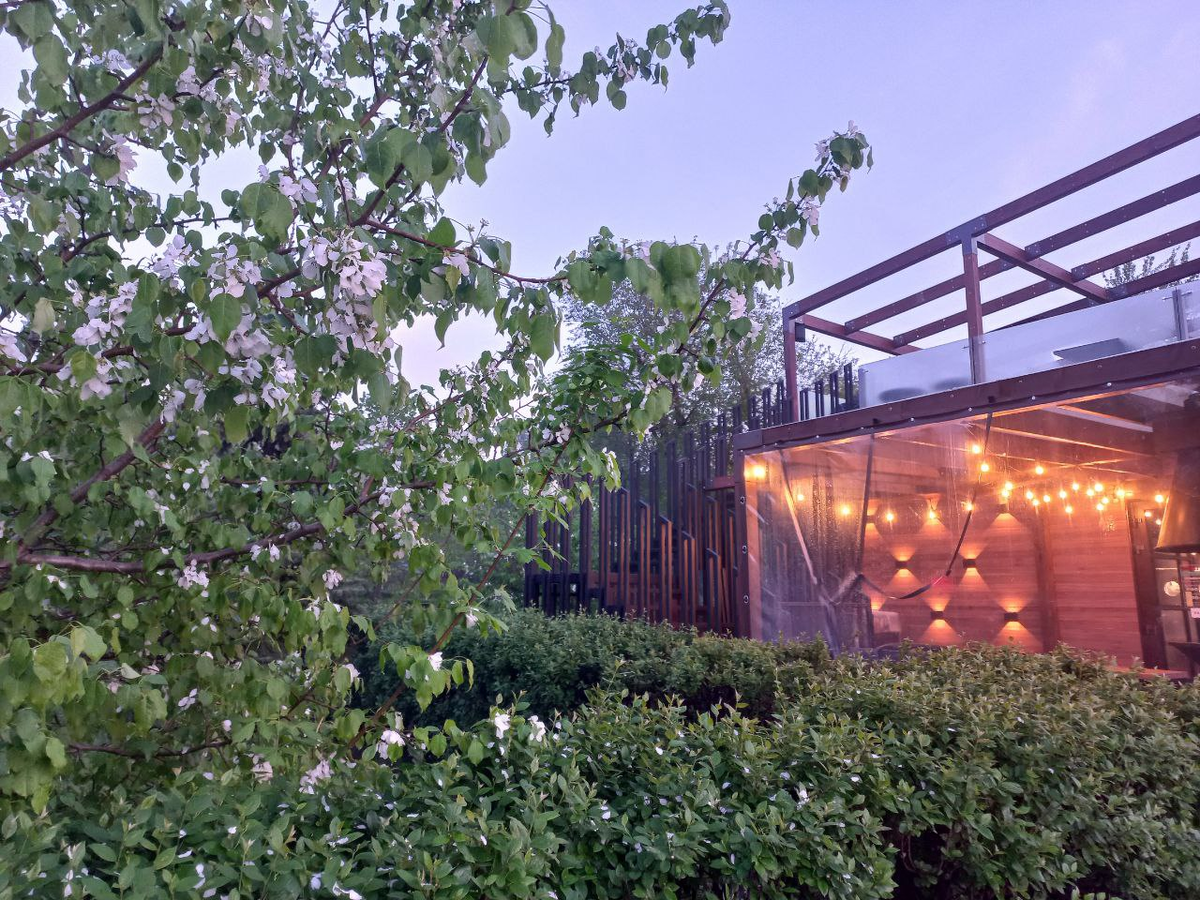 Фото автора.