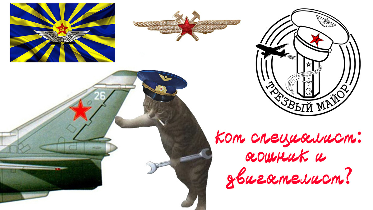 Кот специалист: аошник или двигателист?