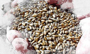 Фото: Управление Федеральной службы по ветеринарному и фитосанитарному надзору по Орловской и Курской областям  📷
