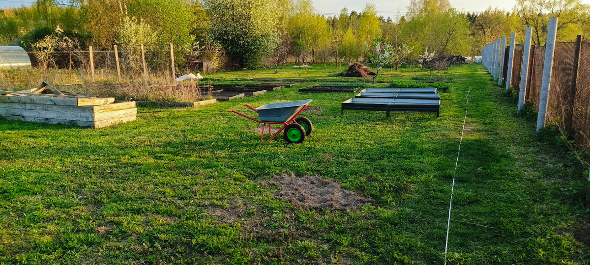 Скошенный огород и сад