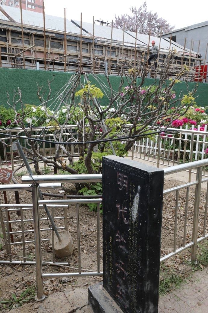 На стелле - история древнего пиона. Источник изображения: baidu.com.