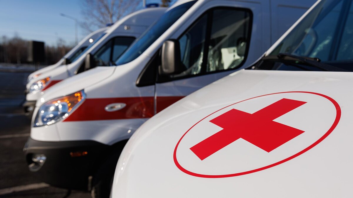 Фото: Sergey Elagin/globallookpress.com