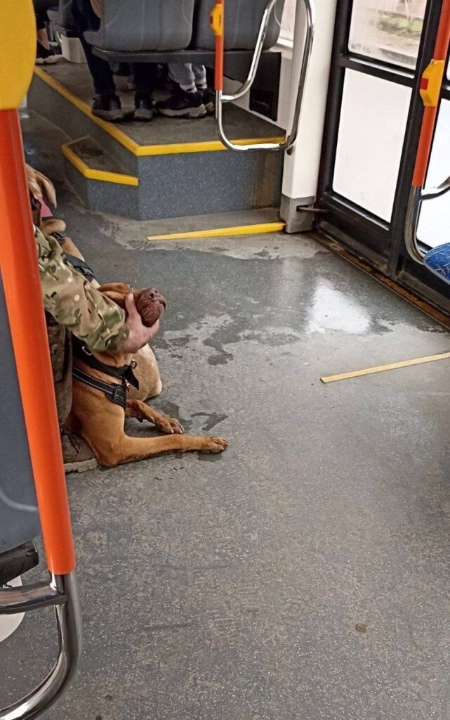    Фото: Олег Постников Екатерина Устькачкинцева