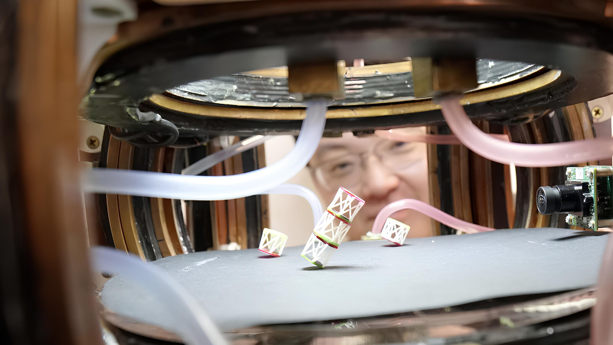 Фото: Принстонский университет