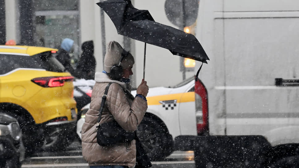 Фото: Анатолий Жданов / Коммерсантъ
