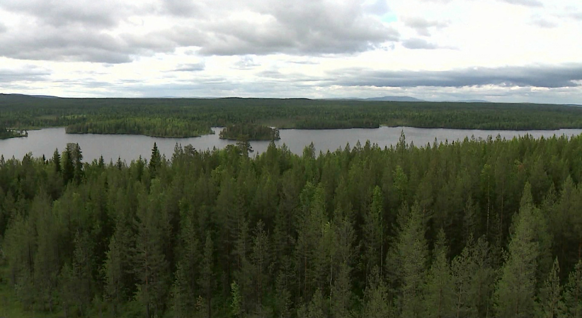      Фото: ГТРК Карелия