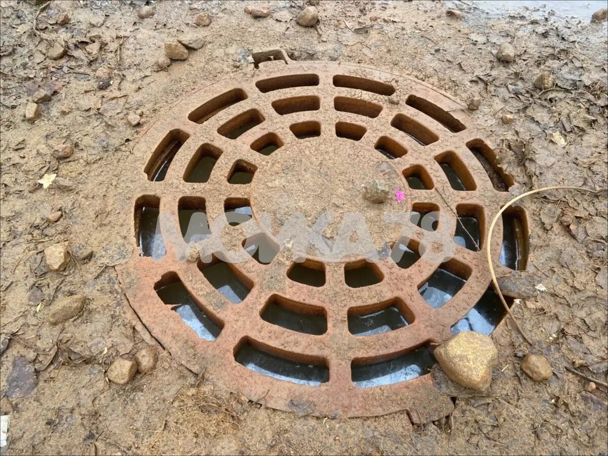    Фото: читатель Мойки78