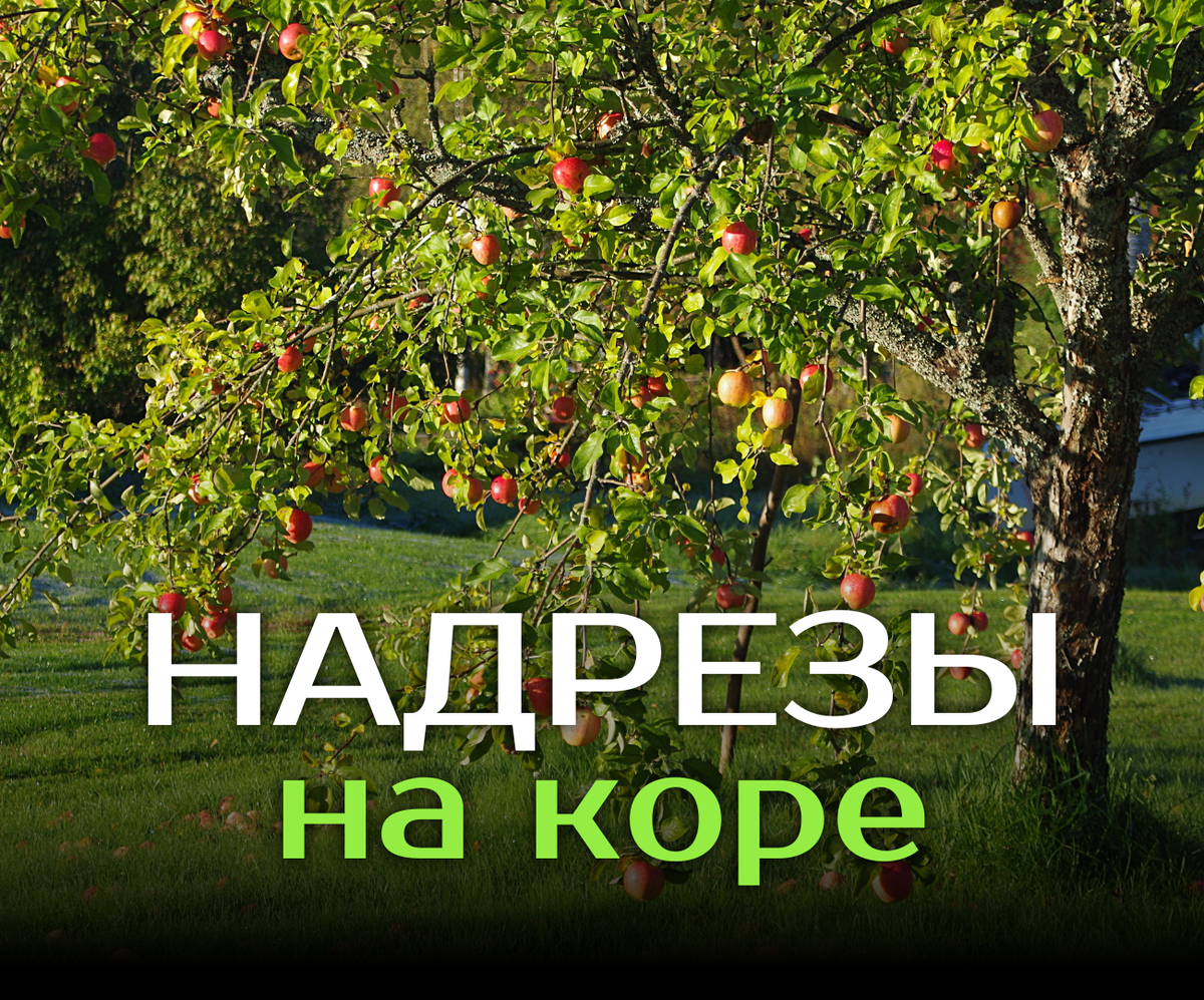 Секреты правильного ухода от дяди Славы!