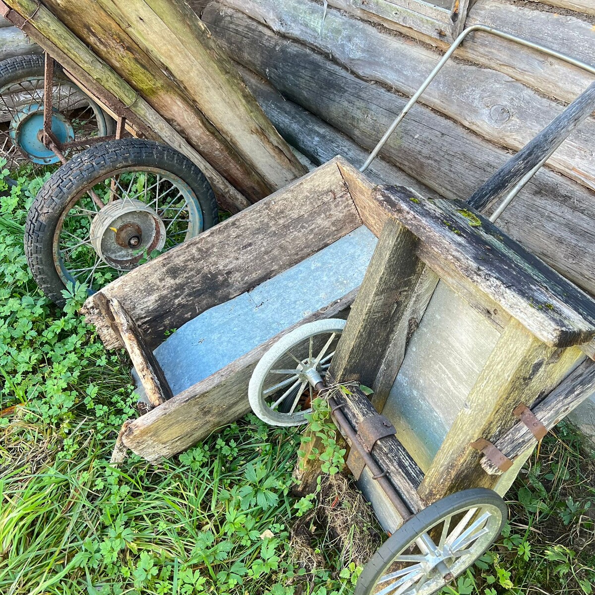 Прекрасные тележки всех размеров и мастей из нашей коллекции