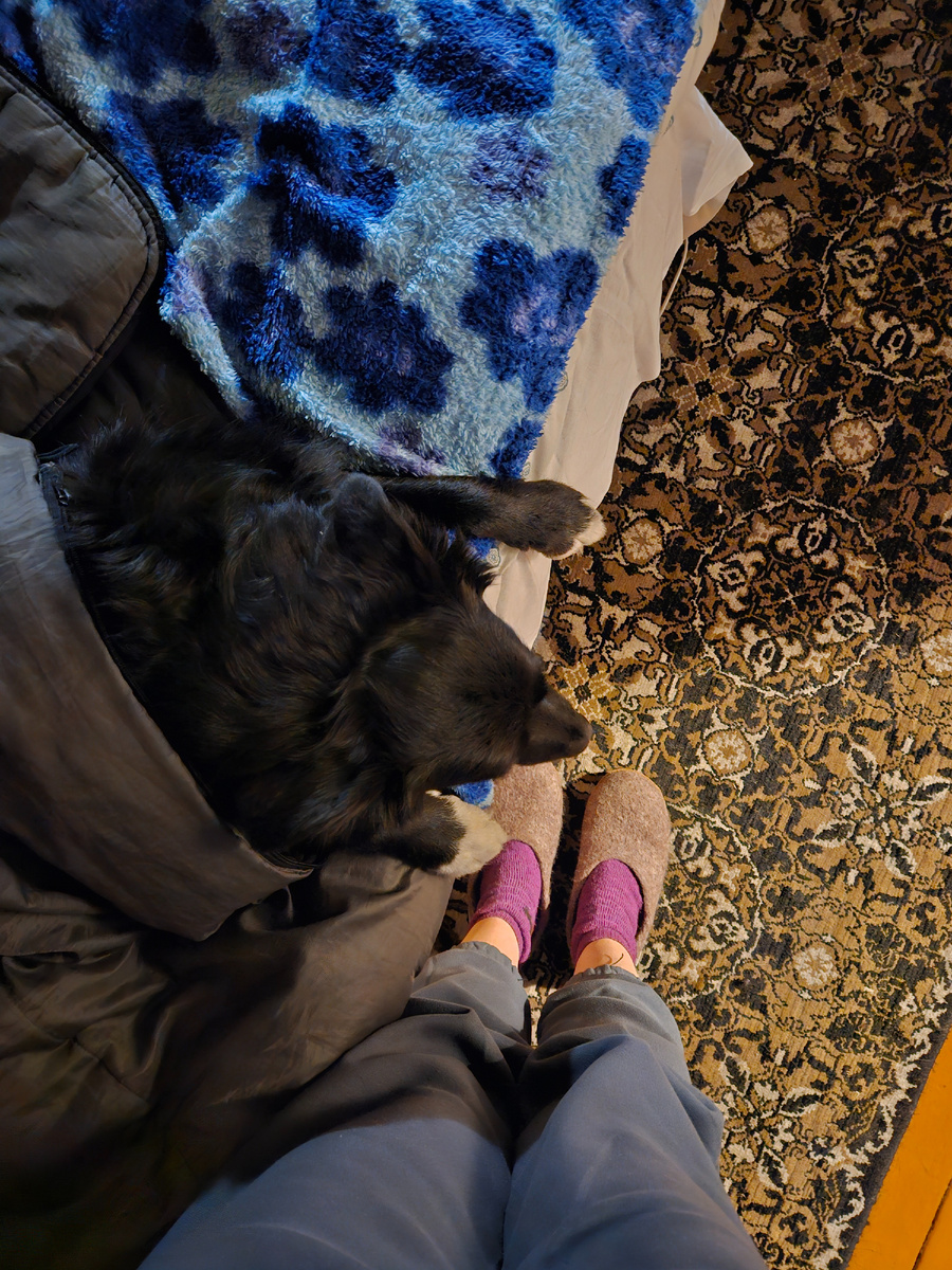 Это мы с пёсонькой мерзнем, пока муж топитр печь.