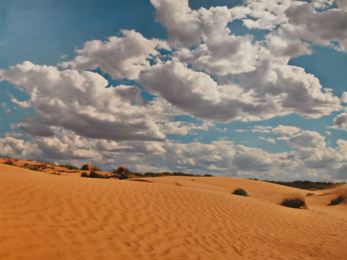 Барханы Астраханской области (2023). Автор Наталия Захарова. Выставка «Астраханский край – любовь навсегда!». Музей культуры Астрахани. 2025 г.