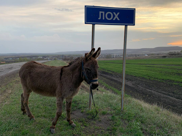 Фото: Из личного архива Сергея Кислина