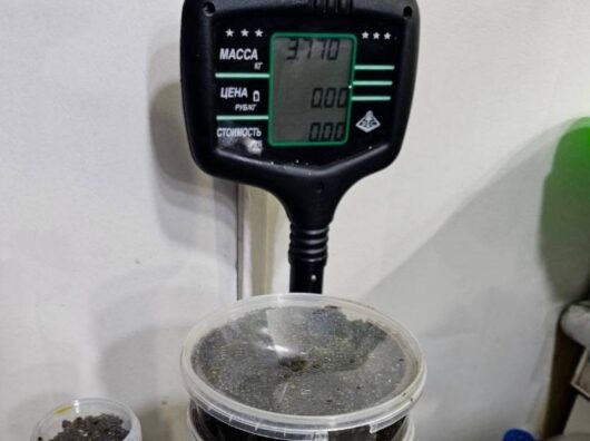    незаконная черная икра // фото: пресс-служба МВД по Ростовской области