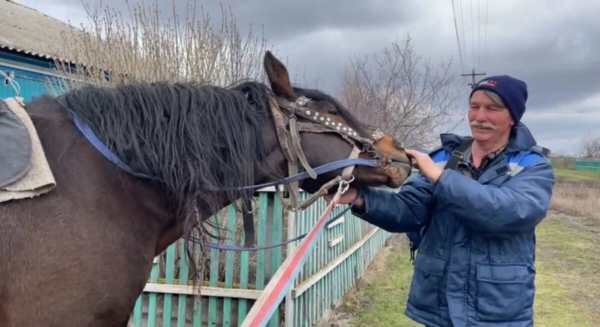     Источник: Единая Россия