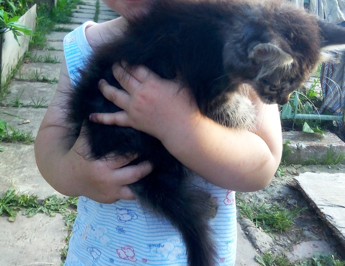 Вот такая крошка была наша Соня