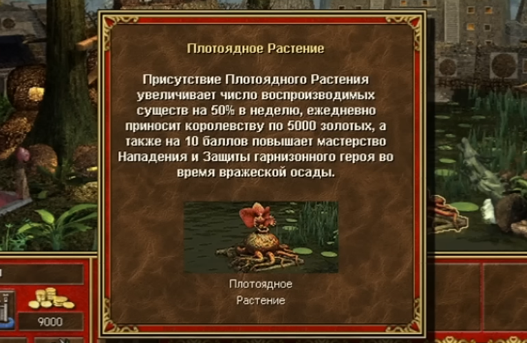 Особенности растительного сообщества болота