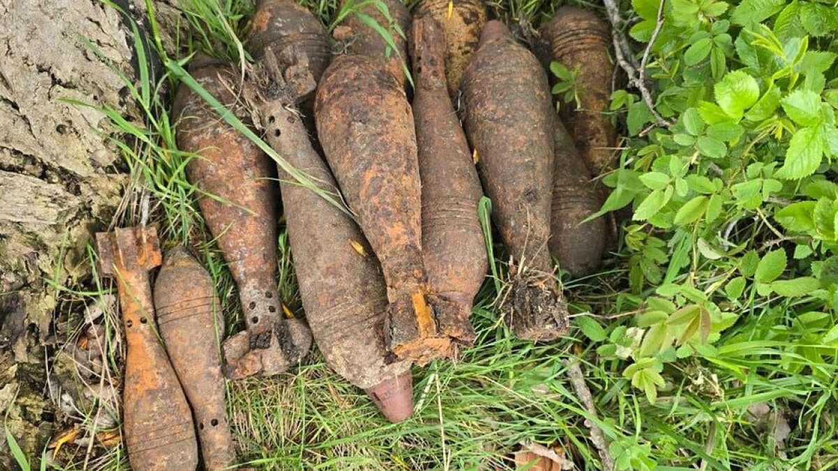    Фото: t.me/rosgvard_krasnodar