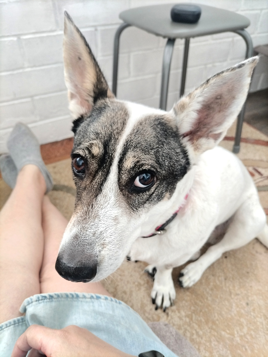 Наша страшно красивая Зефирка со мной на балконе