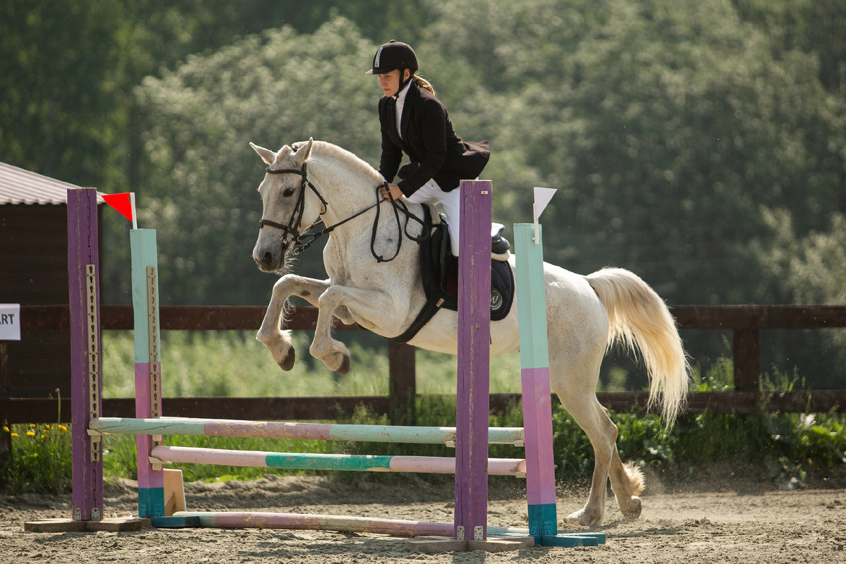 Клубные соревнования в КСК «Дерби». https://vk.com/clubderbyhorse