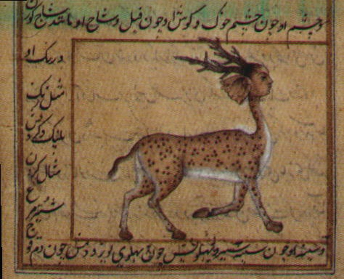 Изображение взято с сайта https://animals.pibig.info/uploads/posts/2023-04/1680526865_animals-pibig-info-p-koshka-proroka-mukhammeda-zhivotnie-krasiv-61.jpg