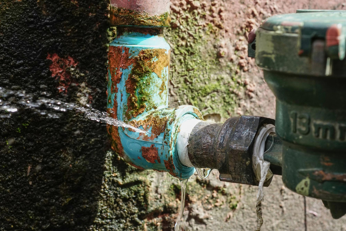 Фото: freepik.com  📷
